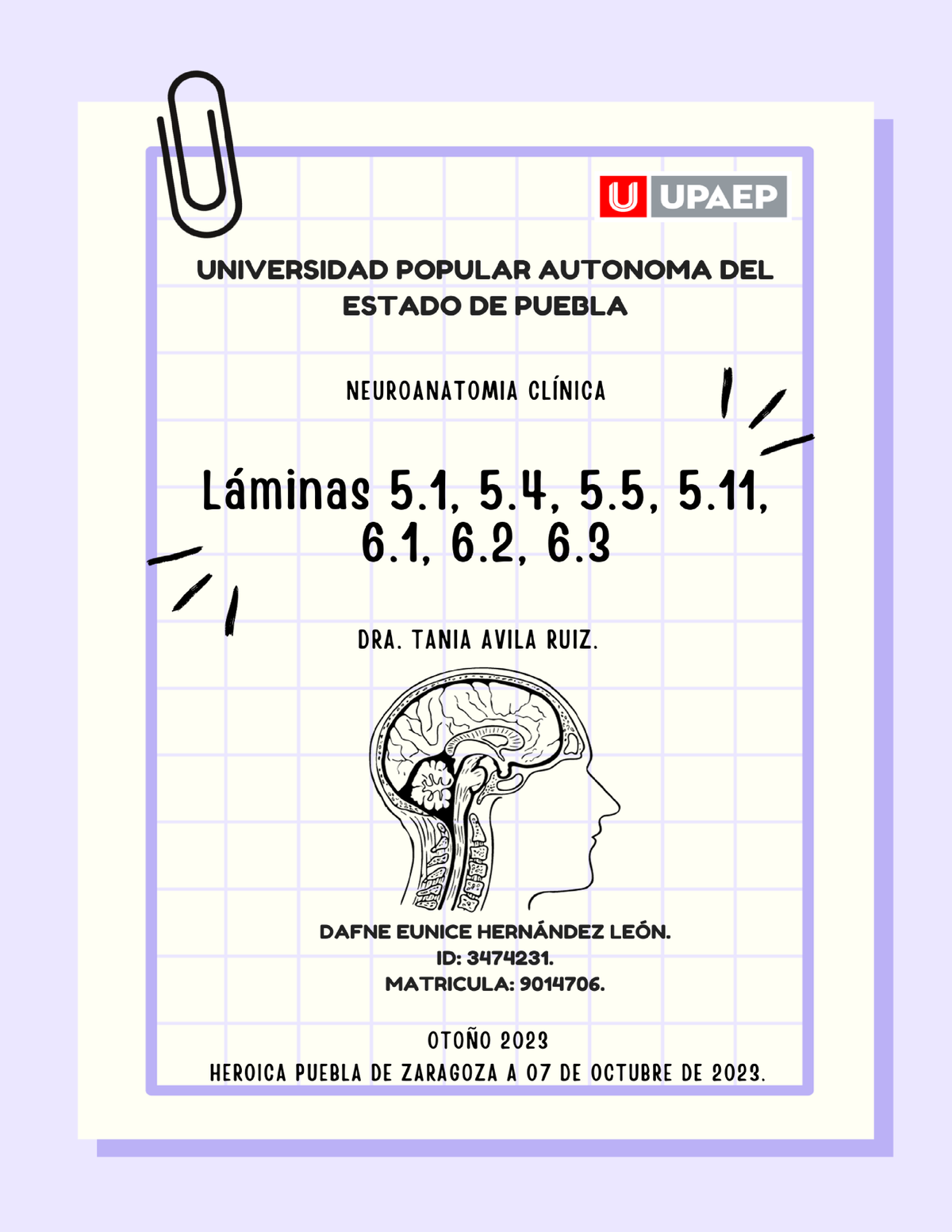 Laminas Netter Tarea 2 Neuroanatomía Clínica Studocu