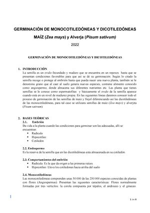 germinación de monocotiledóneas