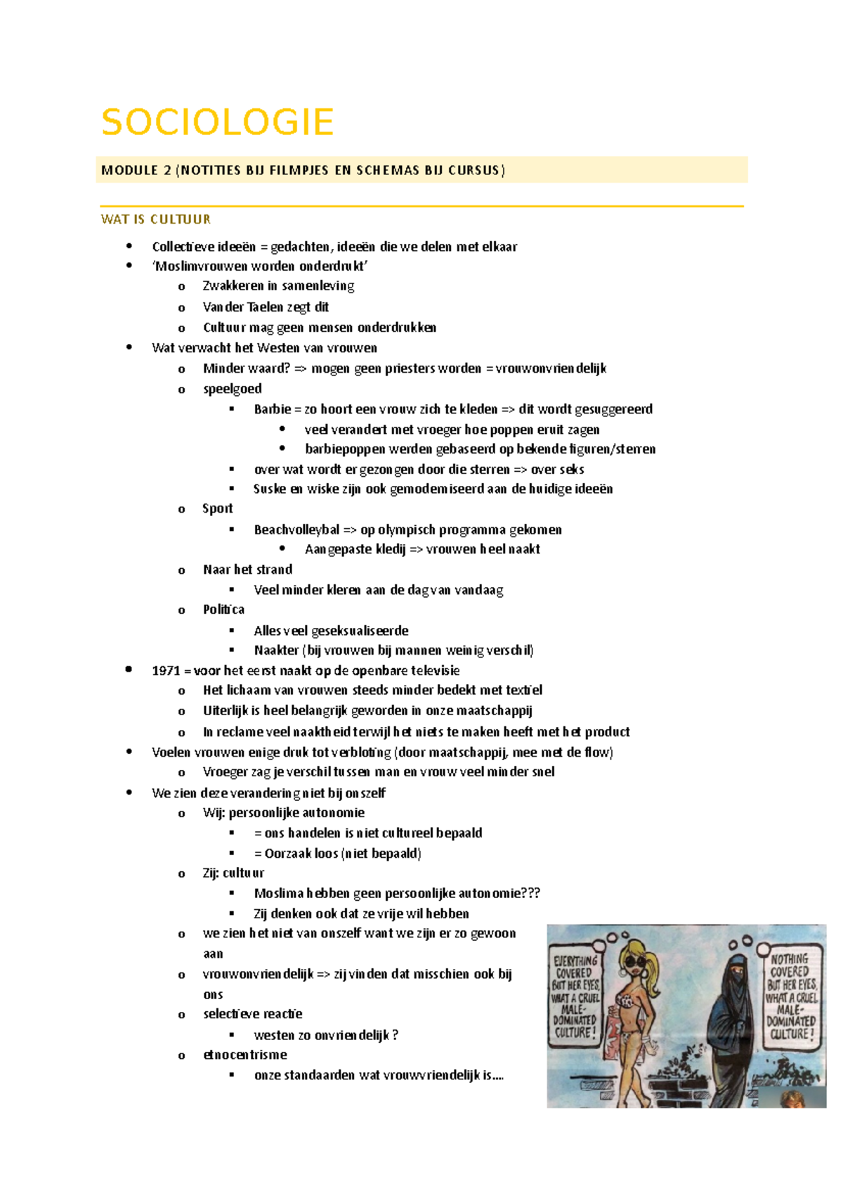 02. Cultuur - MODULE 2 - SOCIOLOGIE MODULE 2 (NOTITIES BIJ FILMPJES EN ...