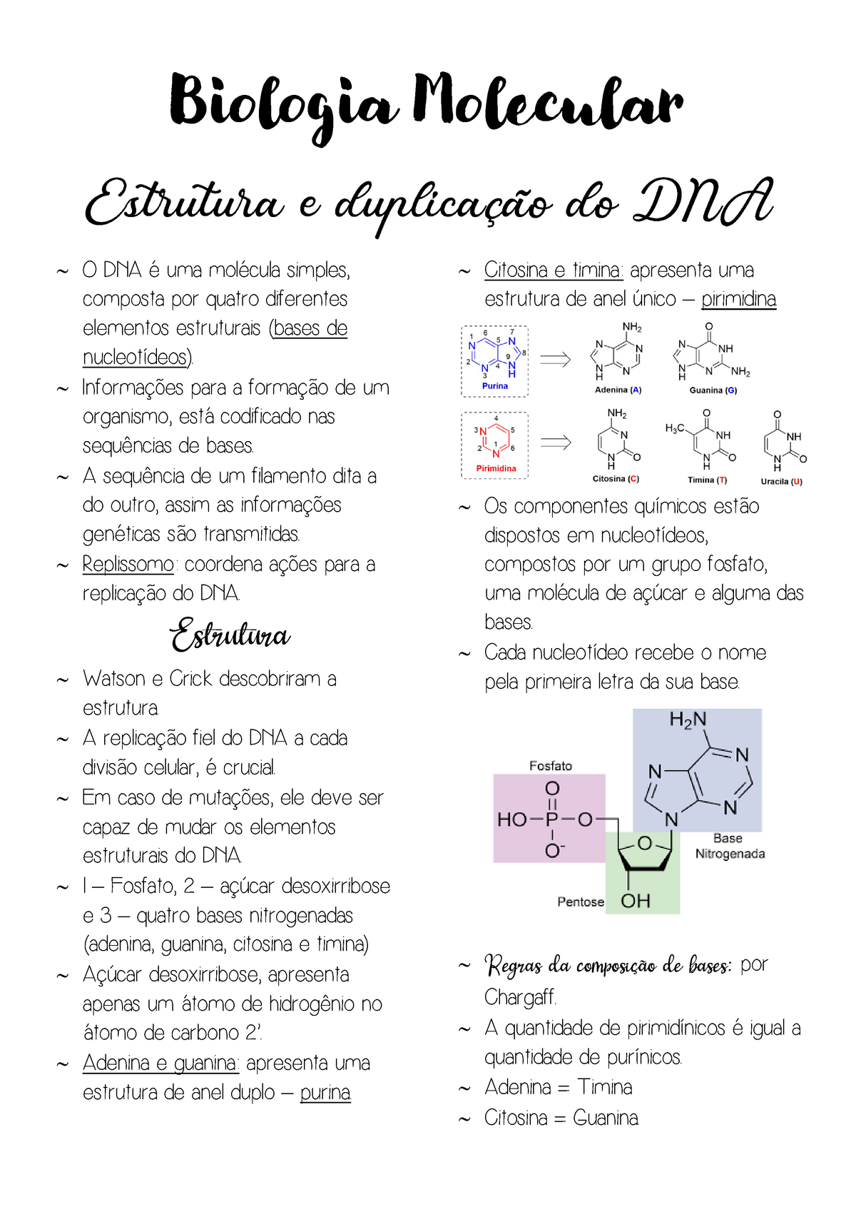 Resumo Estrutura E Duplicação Do Dna Biologia Molecular O Dna é Uma Molécula Simples