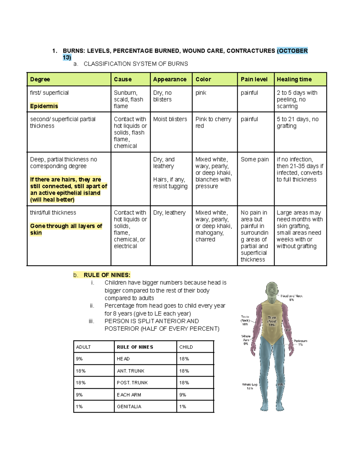 PTAS 202 exam 2 (info from lectures) 1. BURNS LEVELS, PERCENTAGE BURNED, WOUND CARE, Studocu