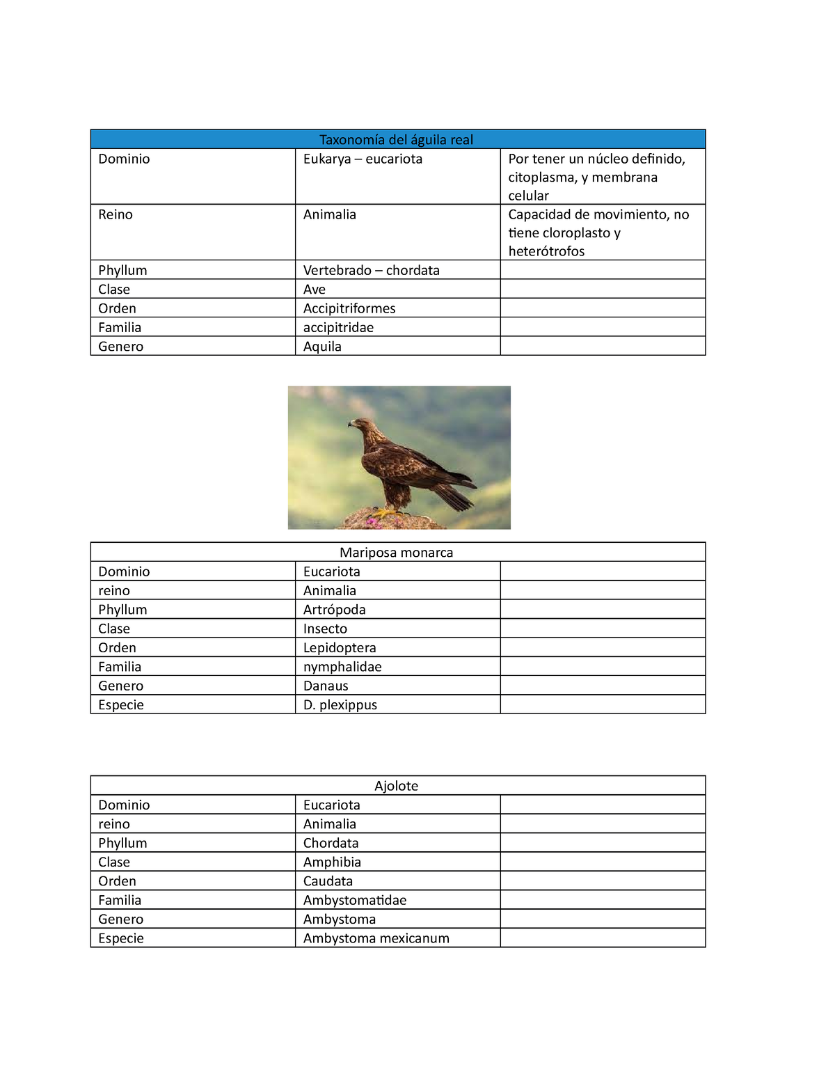 Taxonomia biologia - vvvvvvvvvvvvvvvvvvv - Taxonomía del águila real  Dominio Eukarya – eucariota Por - Studocu