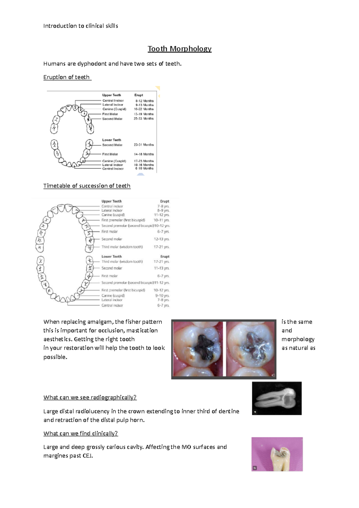 1. Tooth Morphology - Introduction to clinical skills Tooth Morphology ...