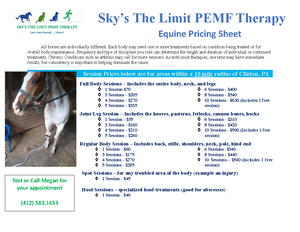 Practice Materials - Flyers - Sky’s The Limit PEMF Therapy What Happens ...