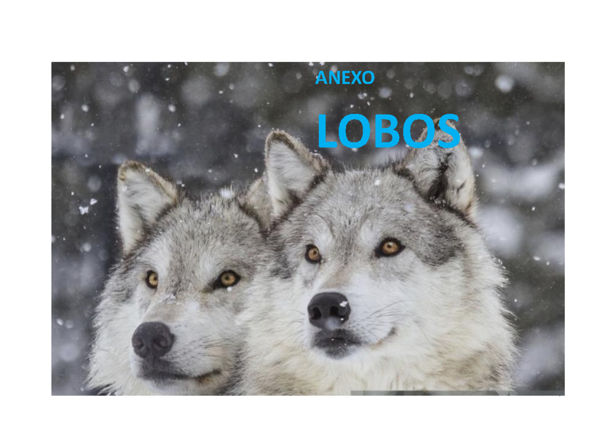 Anexo- Lobos - .... - ANEXO LOBOS EL LOBO Completá la siguiente ficha ...