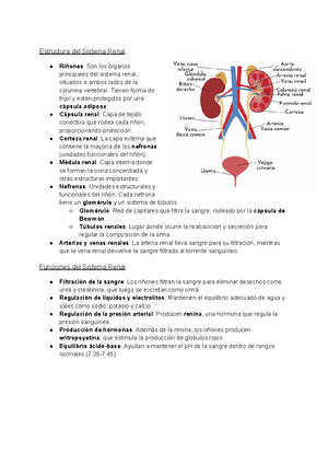Dislip Diagram - What pupils Panama may also be determined by the ...