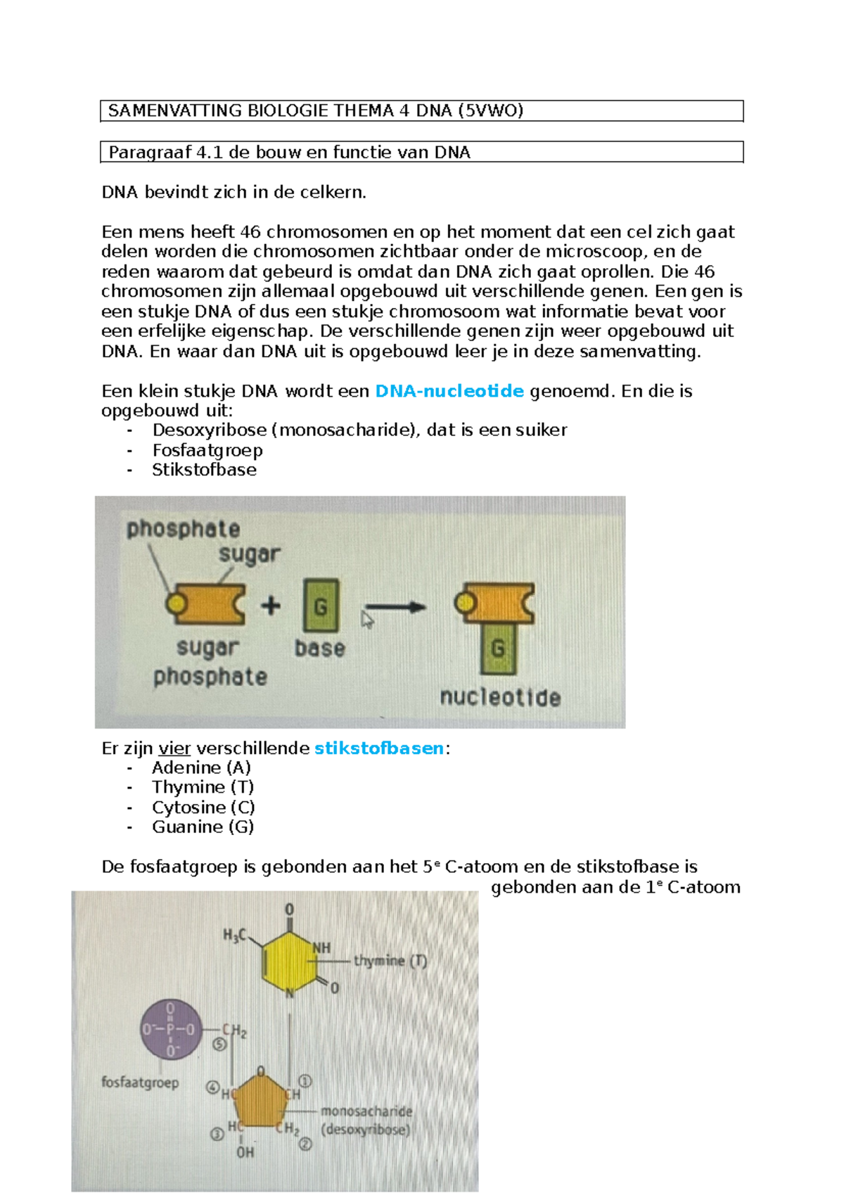 Bio samenvatting thema 4 DNA (5v) - SAMENVATTING BIOLOGIE THEMA 4 DNA ...