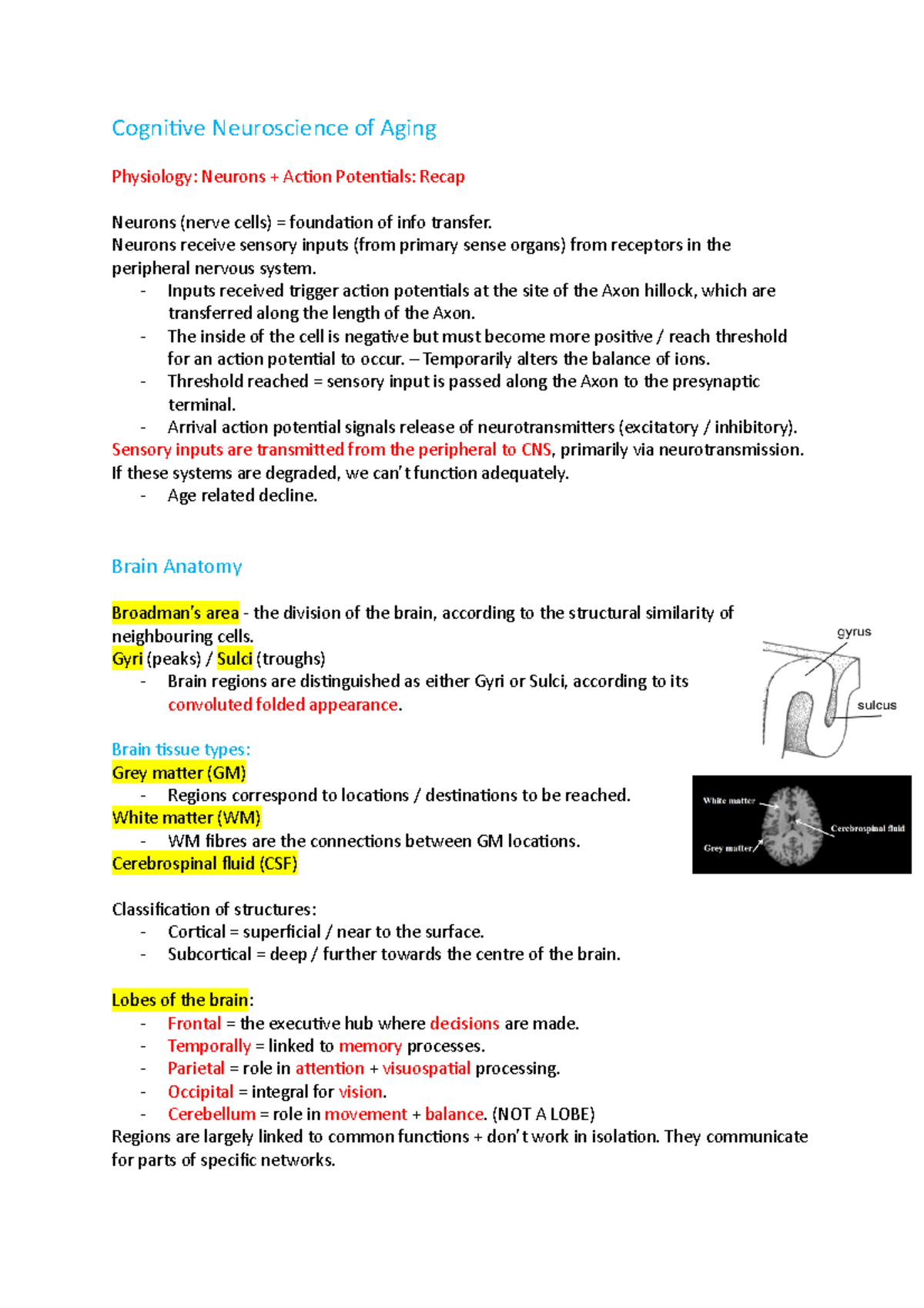 Cognitive Neuroscience of Aging - Cognitive Neuroscience of Aging ...