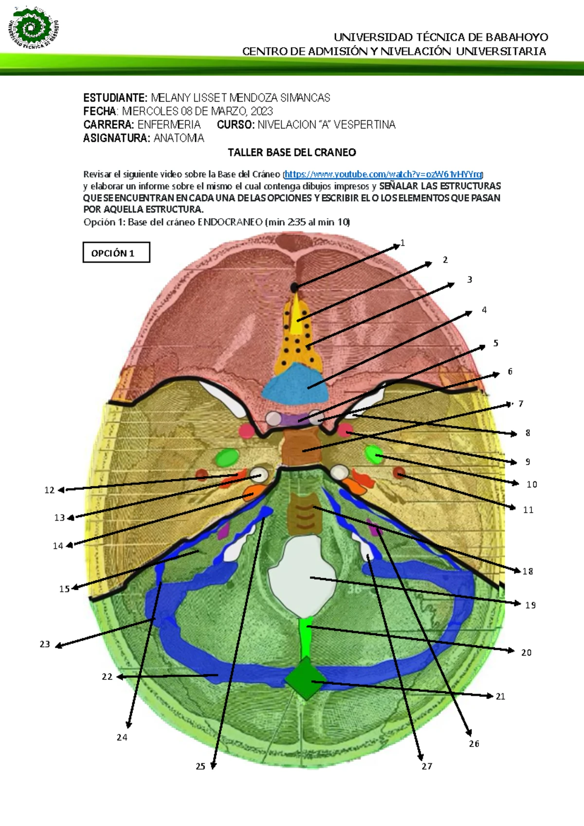 Tarea DE LA Osteona O Sistema DE Havers M - TÉCNICA DE BABAHOYO CENTRO ...
