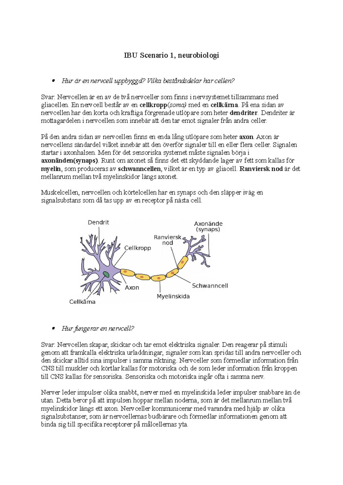 Neurobiologi 1 Nervcell - IBU Scenario 1, Neurobiologi Hur är En ...