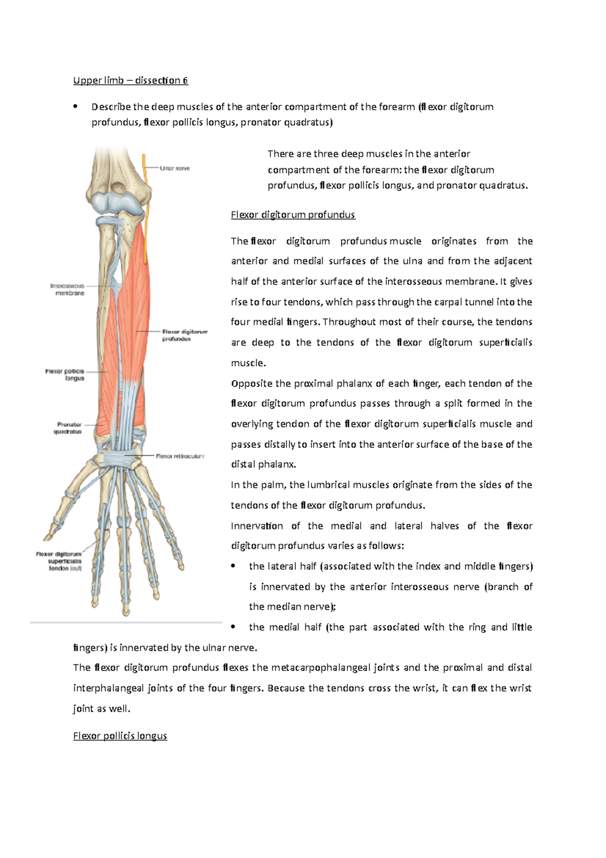 Upper Limb dissection 6 - Upper limb – dissection 6 Describe the deep ...