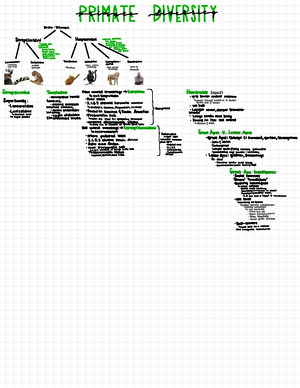 The neanderthals - Detailed lecture notes - ANTH 101 - Studocu