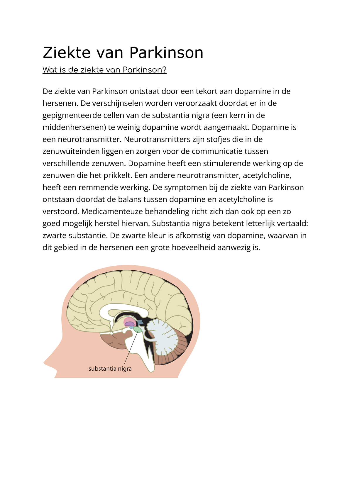 Ziekte Van Parkinson - De Verschijnselen Worden Veroorzaakt Doordat Er ...