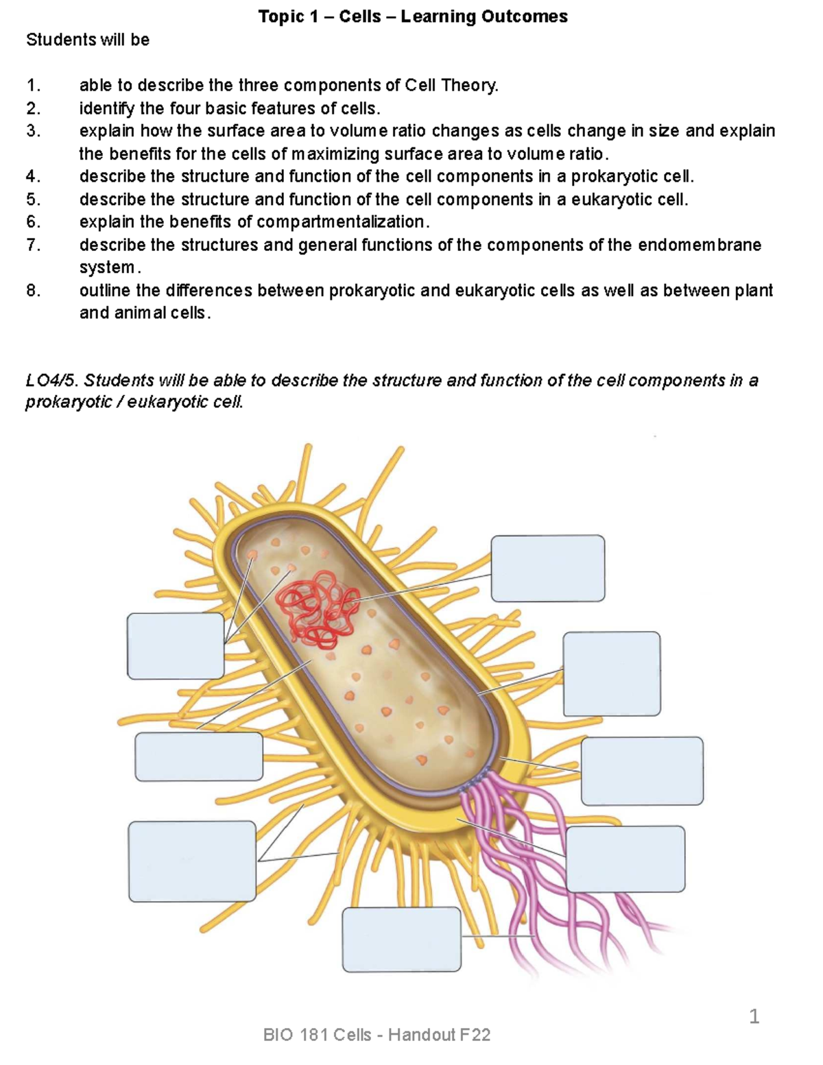 Bio 181 Cells Notes Handout - LO4/5. Students will be able to describe ...