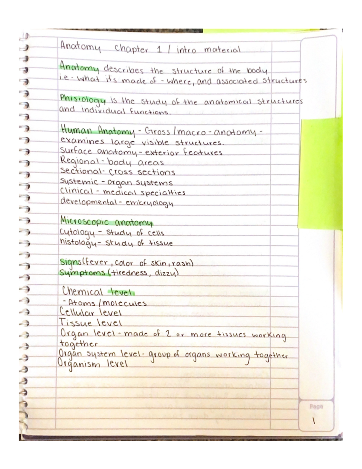 Anatomy and physiology notes - BIO 242 - Studocu