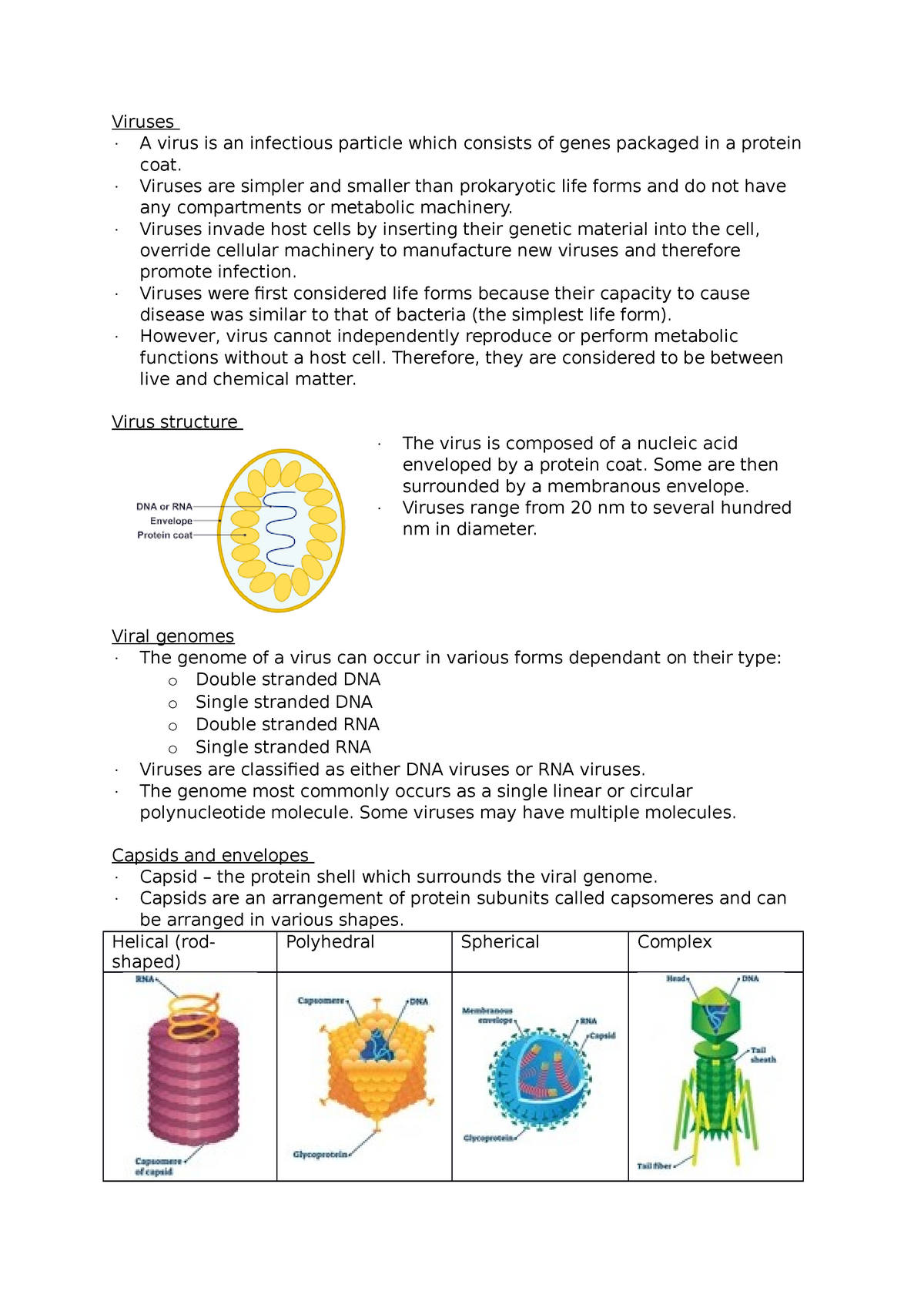 A Summary Of Viruses Including Viral Structures And Replicative Cycles Studocu