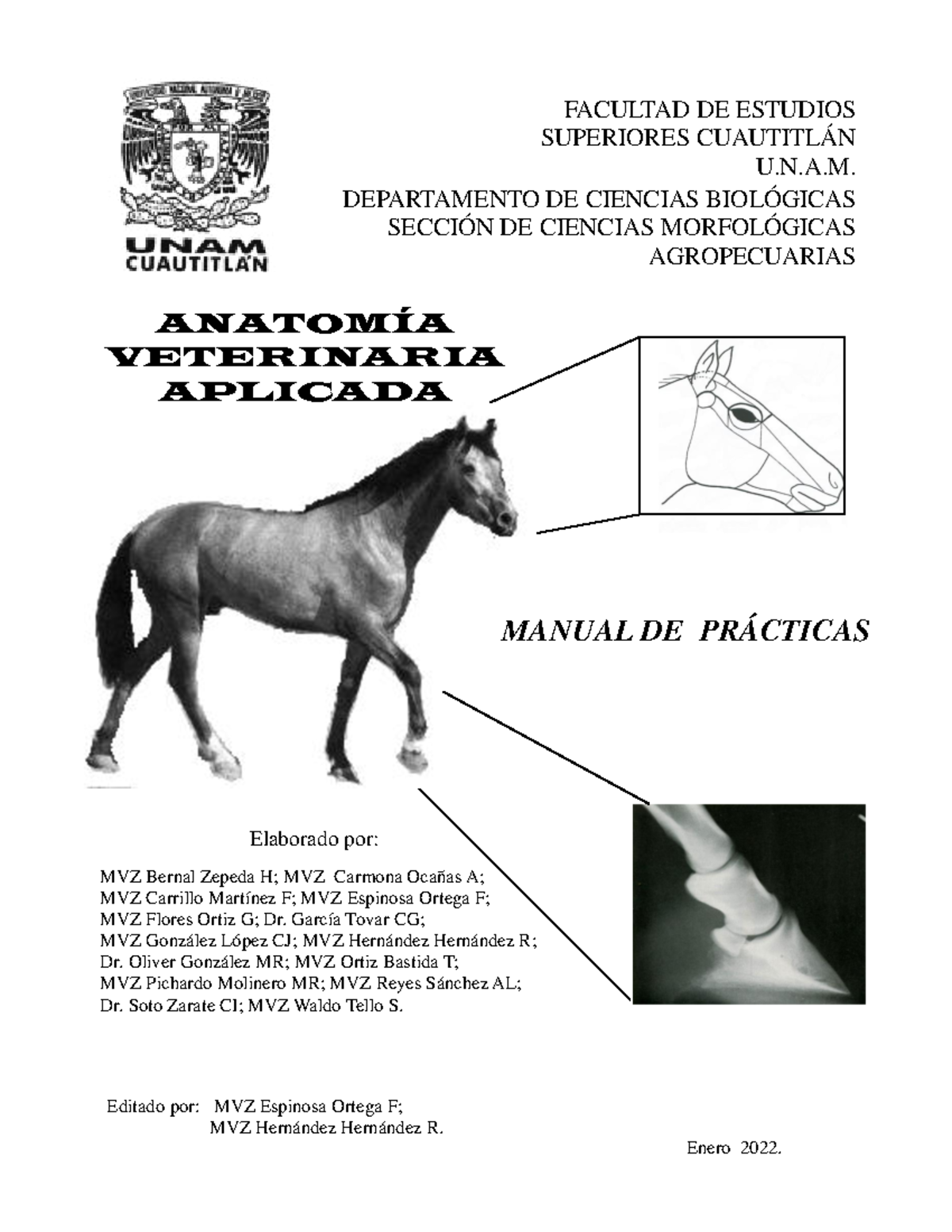 Manual DE PRÁ Cticas AnatomíA Veterinaria Aplicada Semestre 2023-1 ...