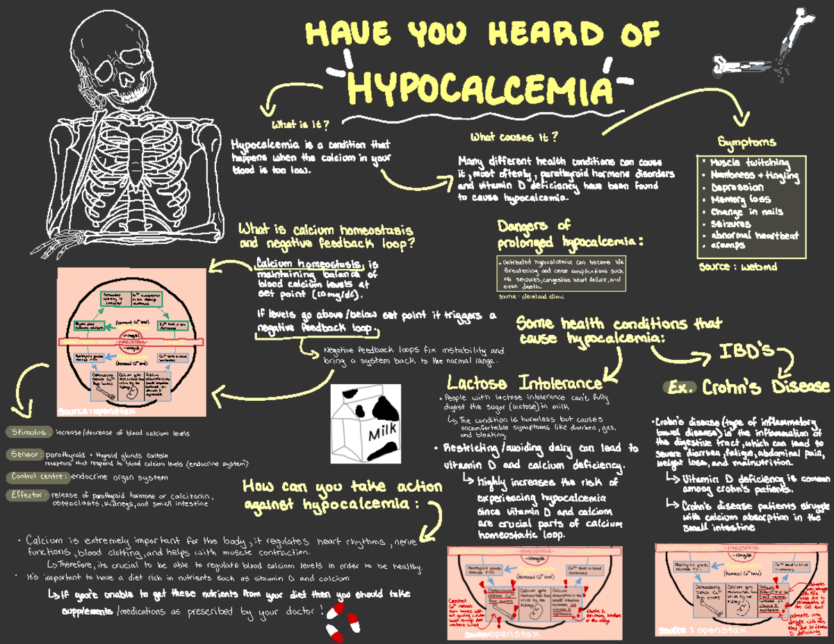Homeostasis Assignment Poster - HAVE YOU HEARD OF Yum hp / S O TLCEMIA ...