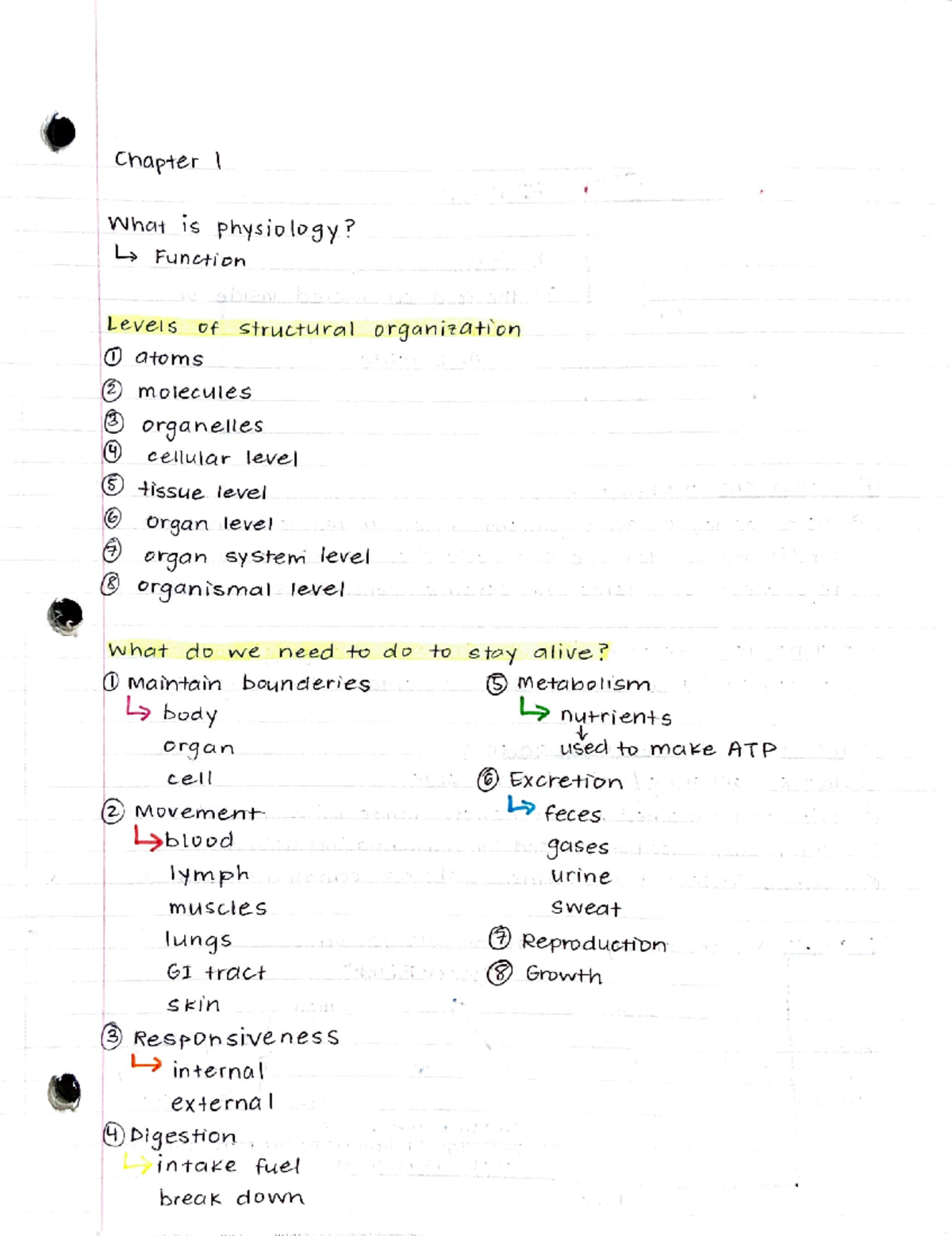 Physiology Notes (Chapter 1) - BIOL 221 - Studocu