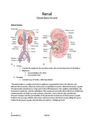 Propofol - ati template - ACTIVE LEARNING TEMPLATES TherapeuTic ...