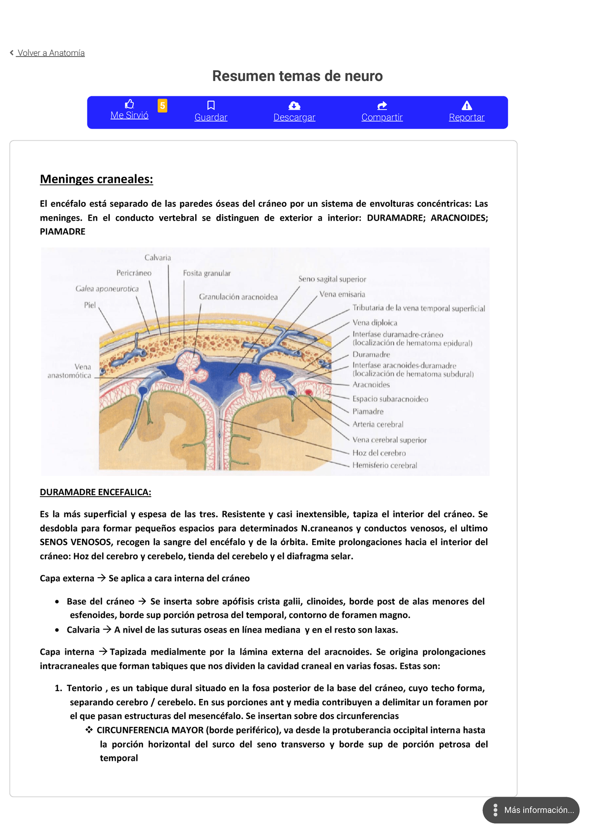 Resumen Temas De Neuro Anatomía Medicina Uba Filadd Volver A Anatomía Resumen Temas De Neuro 9632