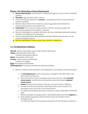 Chapter 39 Information Flow and the Neuron - Chapter 38: Information ...