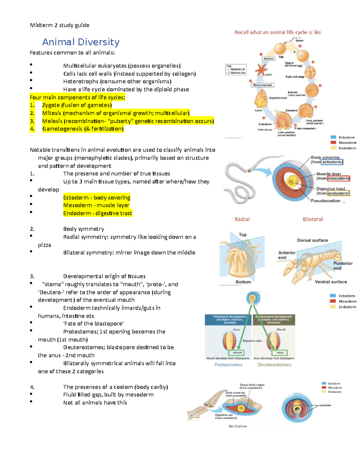 Midterm 2 Study Guide - Document For Biology 150A Modern Biology ...