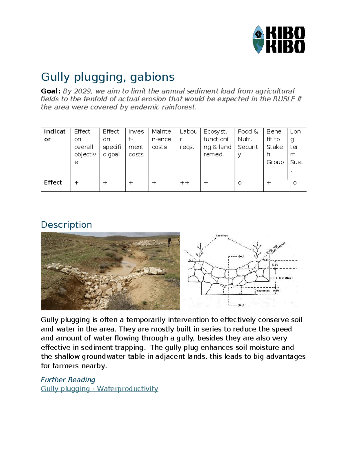 Gully plugging, Gabions - Gully plugging, gabions Goal: By 2029, we aim ...