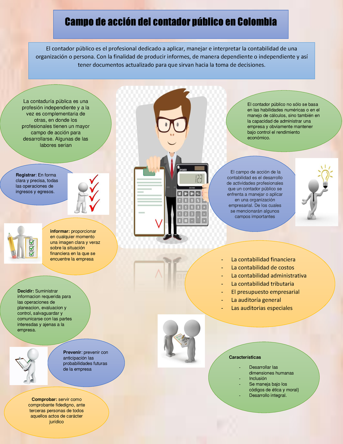 Infografia Campo De Acción Del Contador Público En Colombia La