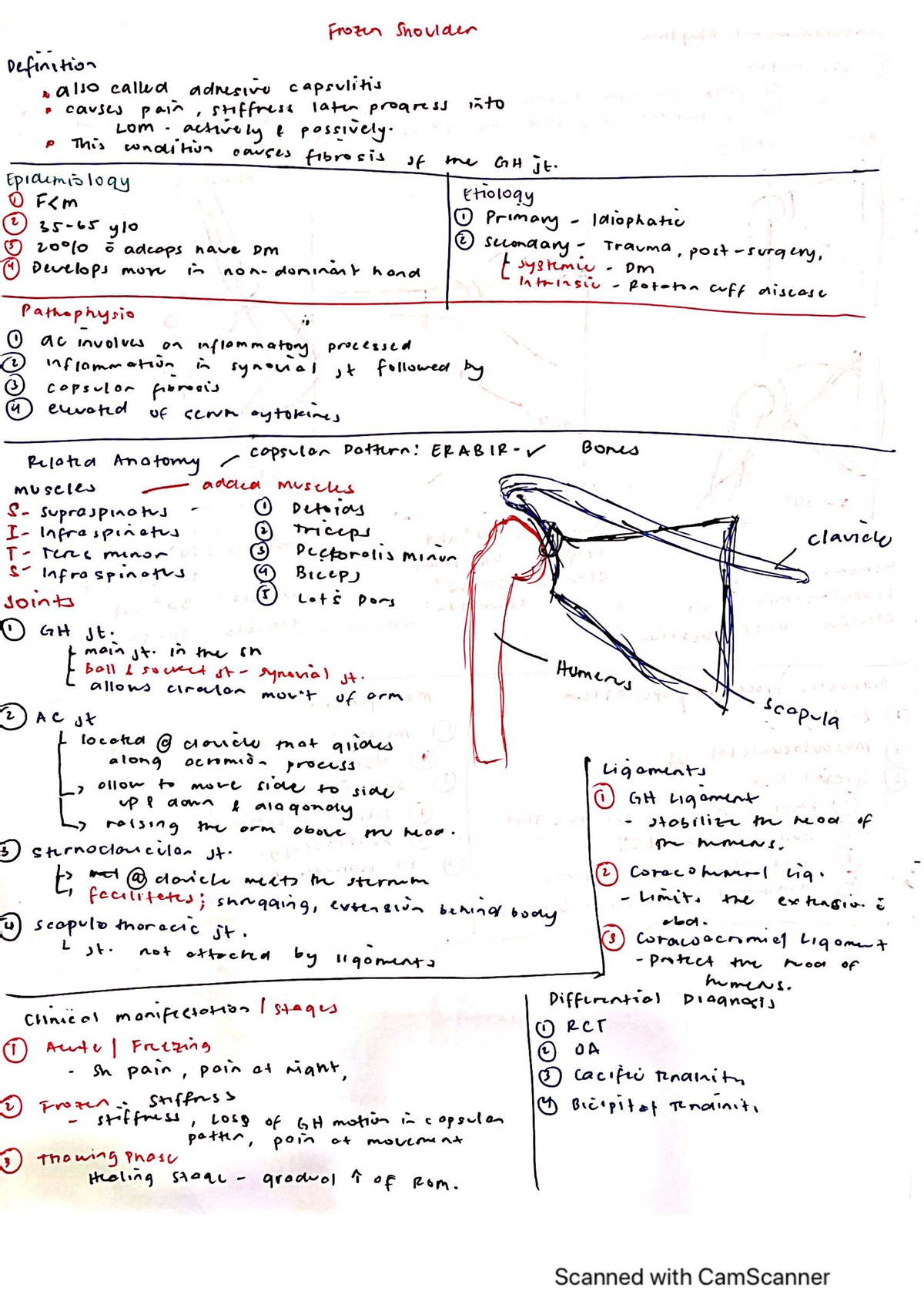 Cam Scanner 04 25 2023 18 - BS Psychology - Studocu