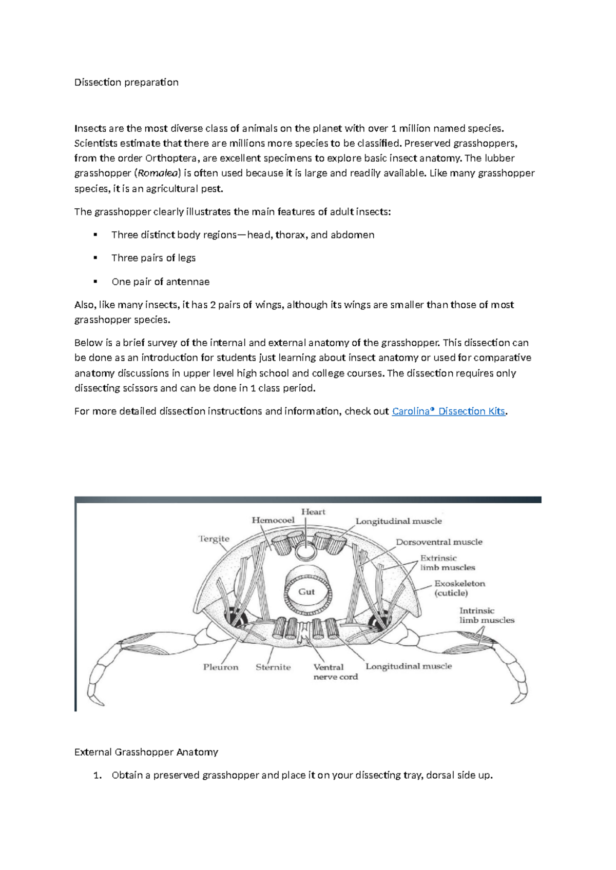 Dissecting a locust Dissection Preparation Dissection preparation