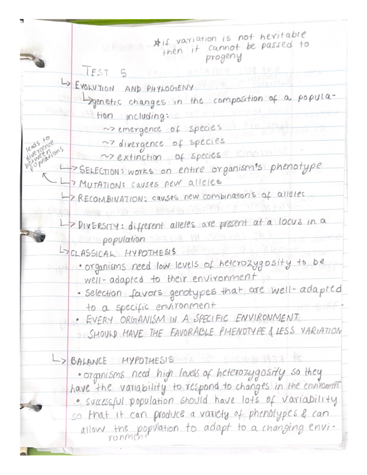 GN 311 Notes for prokaryotic regulation - GN 311 - Studocu