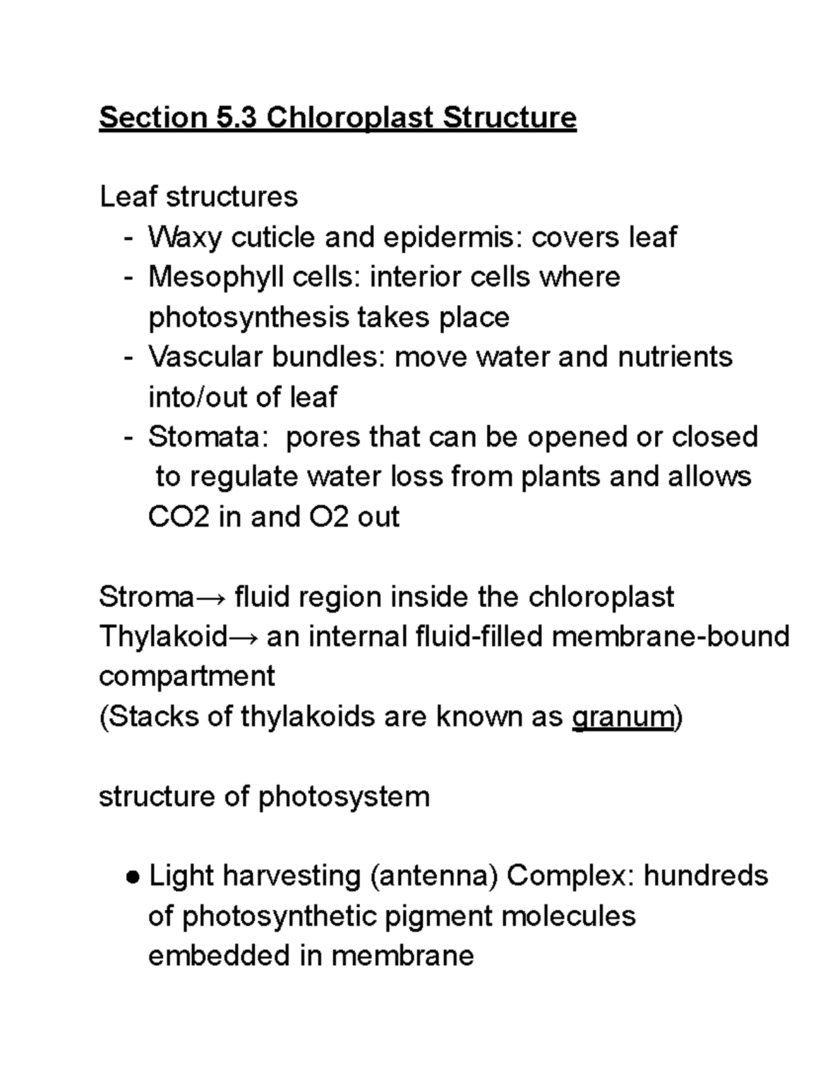 Chapter 5 Section 3 - Chloroplast Structure - Section 5 Chloroplast ...