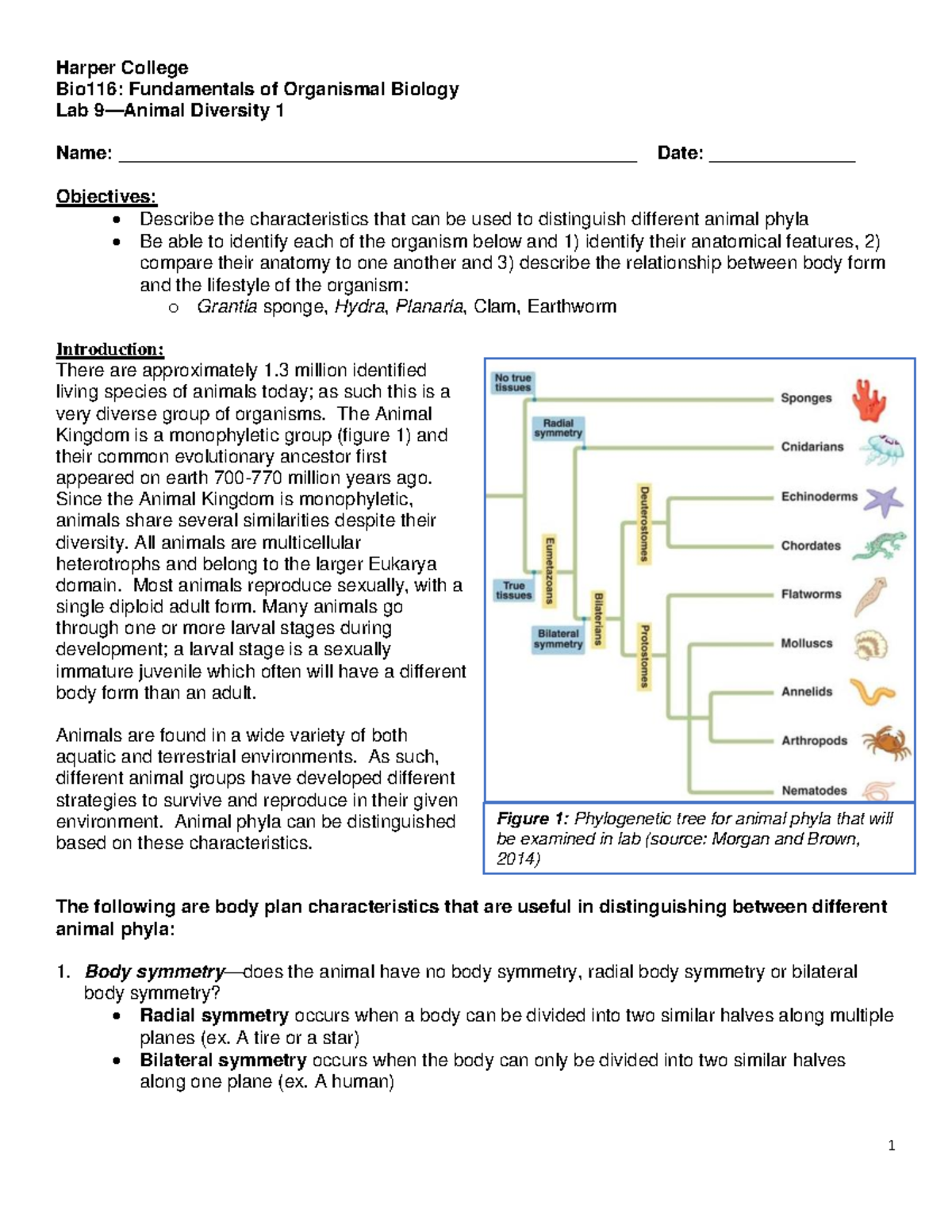 Lab 9 Animal Diversity 1 on campus 2022 - Harper College Bio116 ...