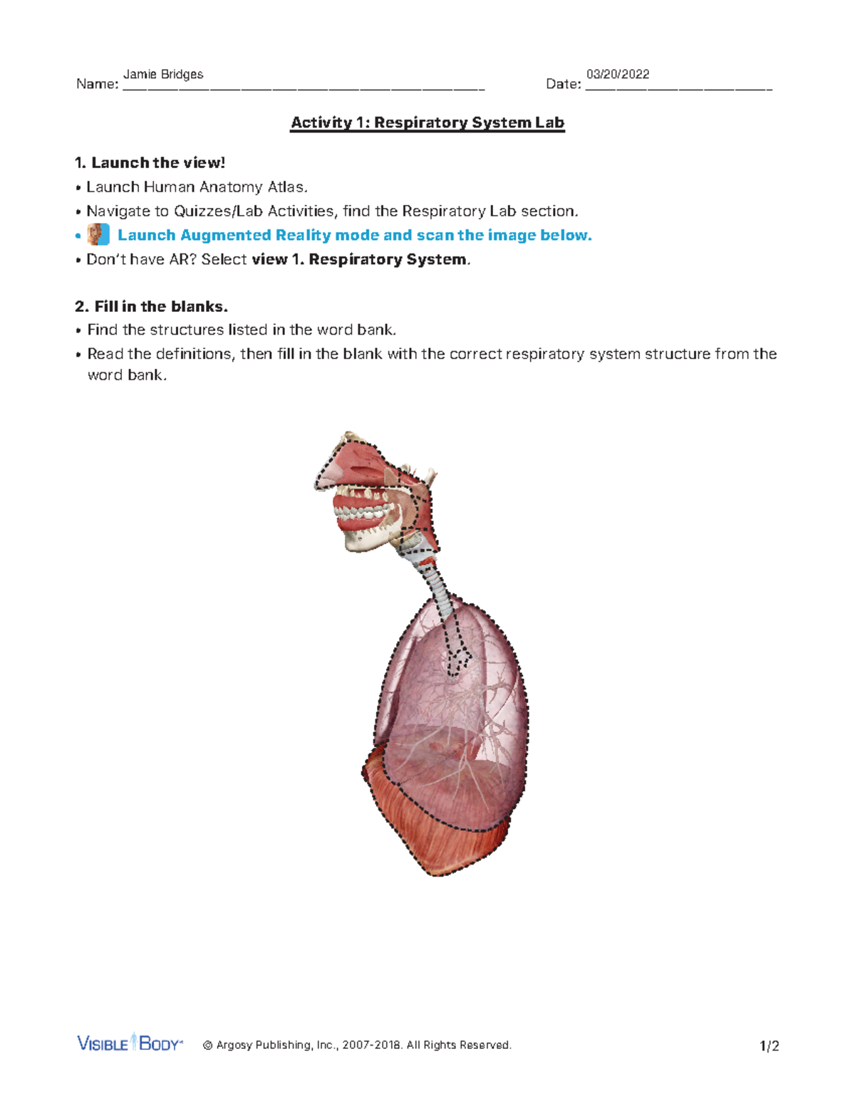 Lab Manual Respiratory English Student Fill In - © Argosy Publishing ...