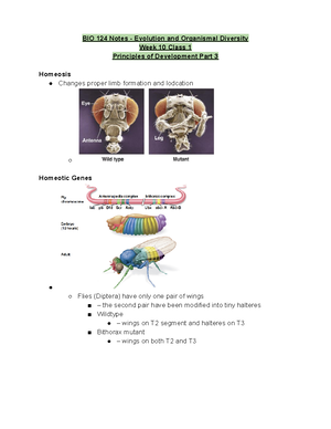 BIO 124 Week 4 Class 2 Notes - BIO 124 Notes - Evolution And Organismal ...