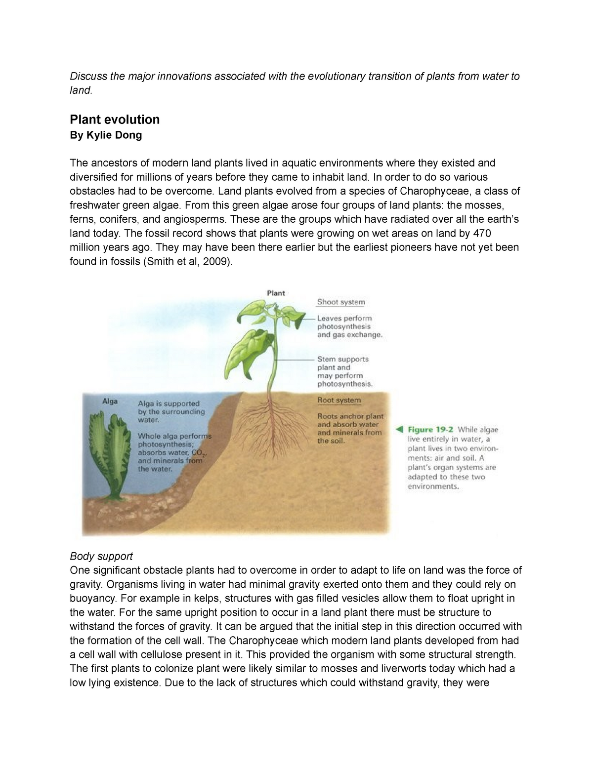 essay on parts of plants