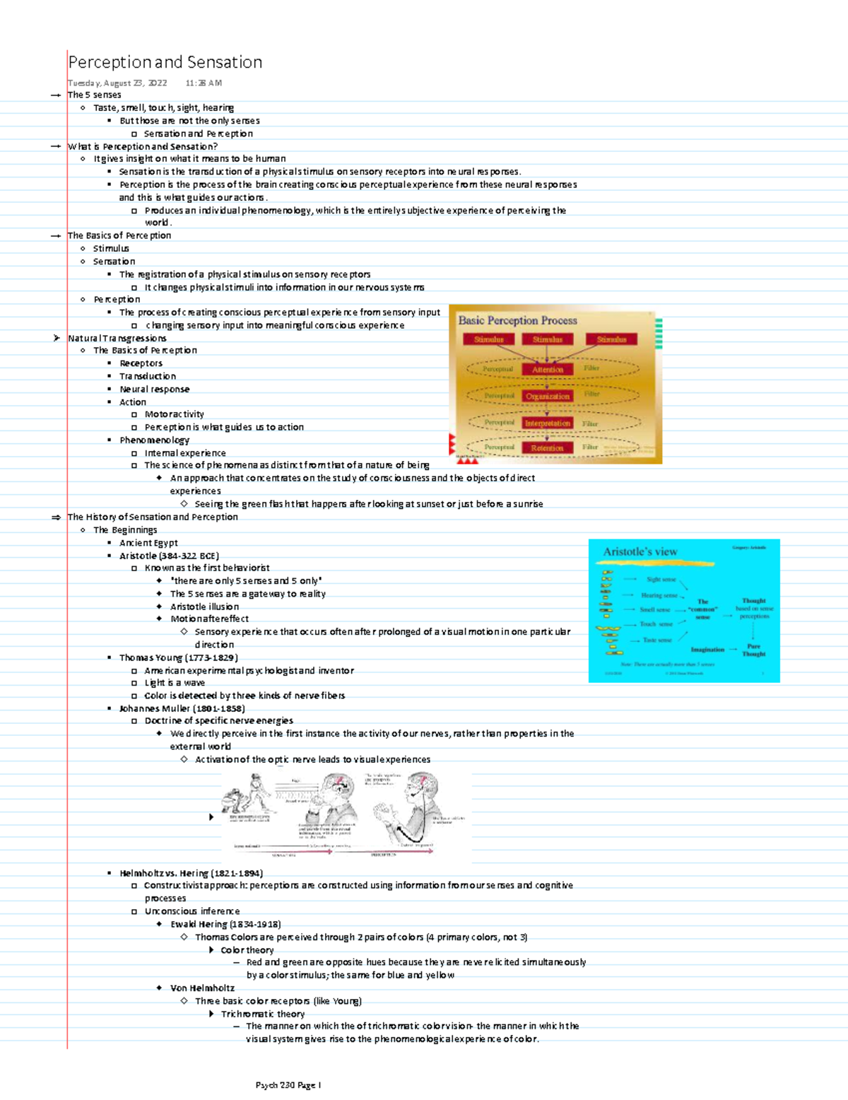 Perception and Sensation - Perception is the process of the brain ...