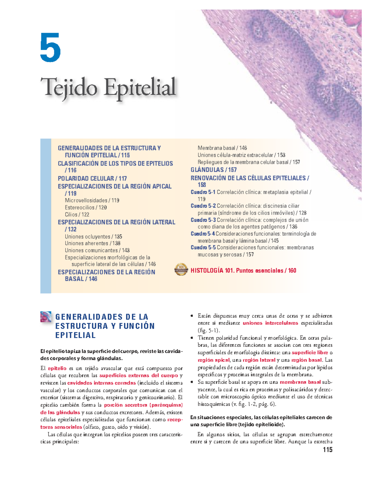 Histologia Ross Pawlina 7 edicion5 115 GENERALIDADES DE LA ESTRUCTURA Y FUNCIÓN Histologia Ross Pawlina 7 edicion5 115 GENERALIDADES DE LA ESTRUCTURA Y FUNCIÓN