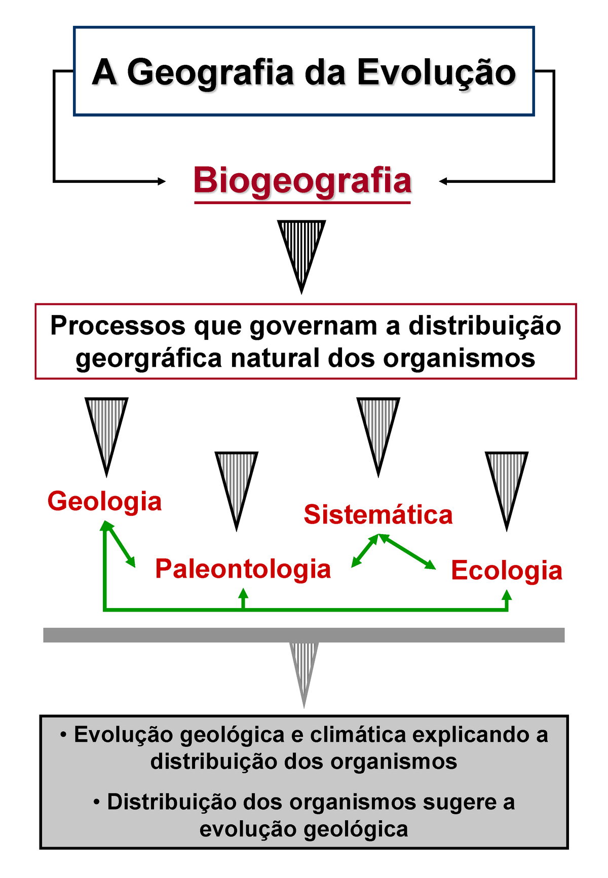 Aula Biogeografia A Geografia Da Evolução Biogeografia Processos Que Governam A Distribuição 0701