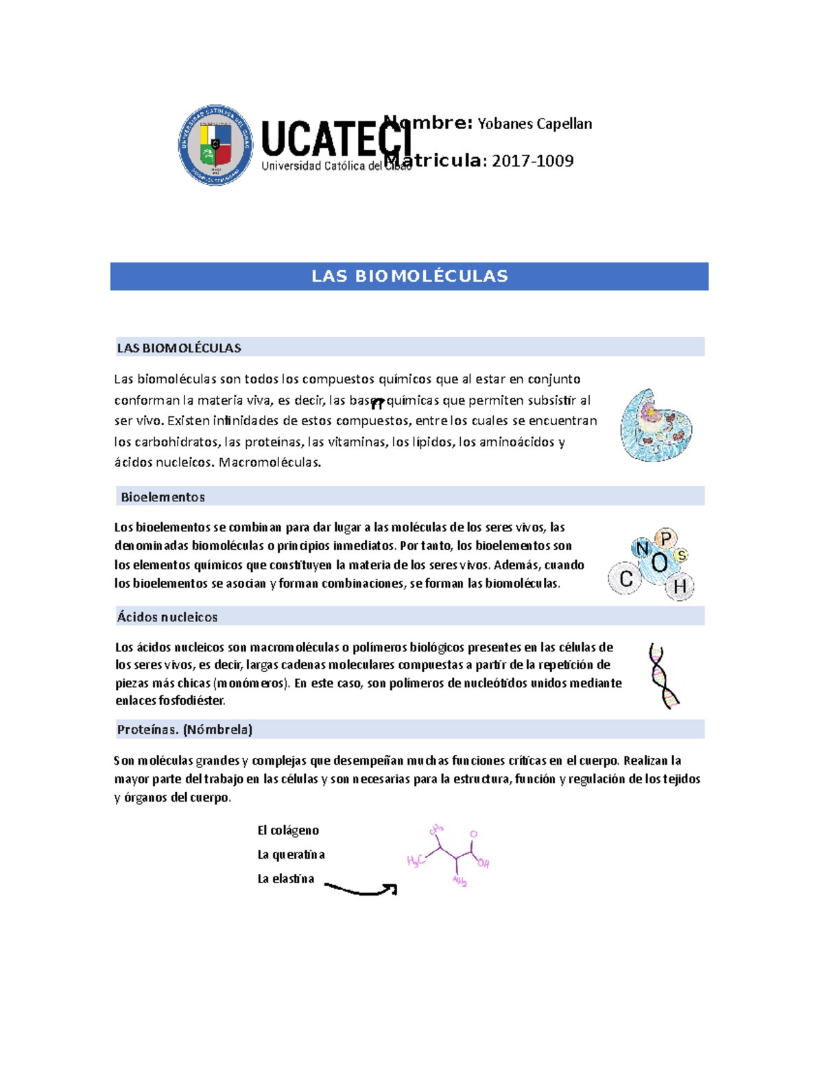 1.Bioquimica 1 Trabajo Práctico - LAS BIOMOLÉCULAS LAS BIOMOLÉCULAS Las ...