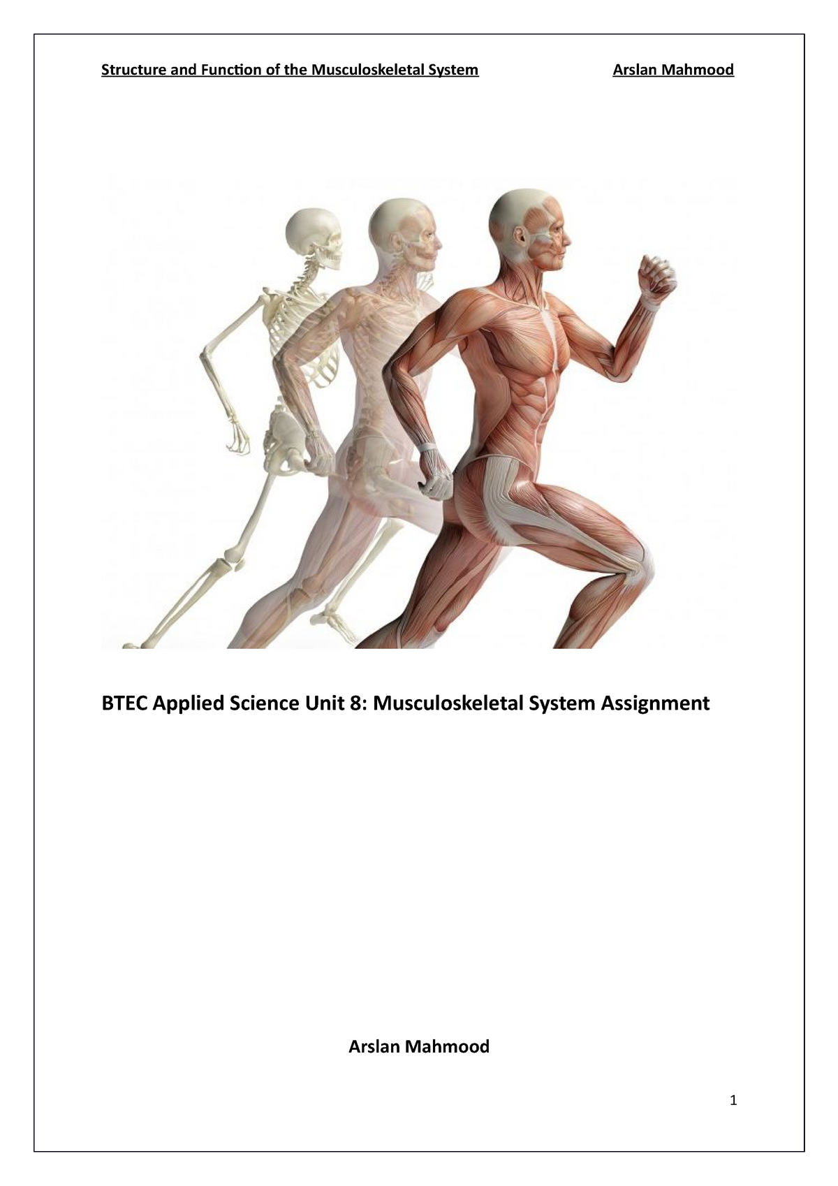 unit 8 assignment 1 musculoskeletal system