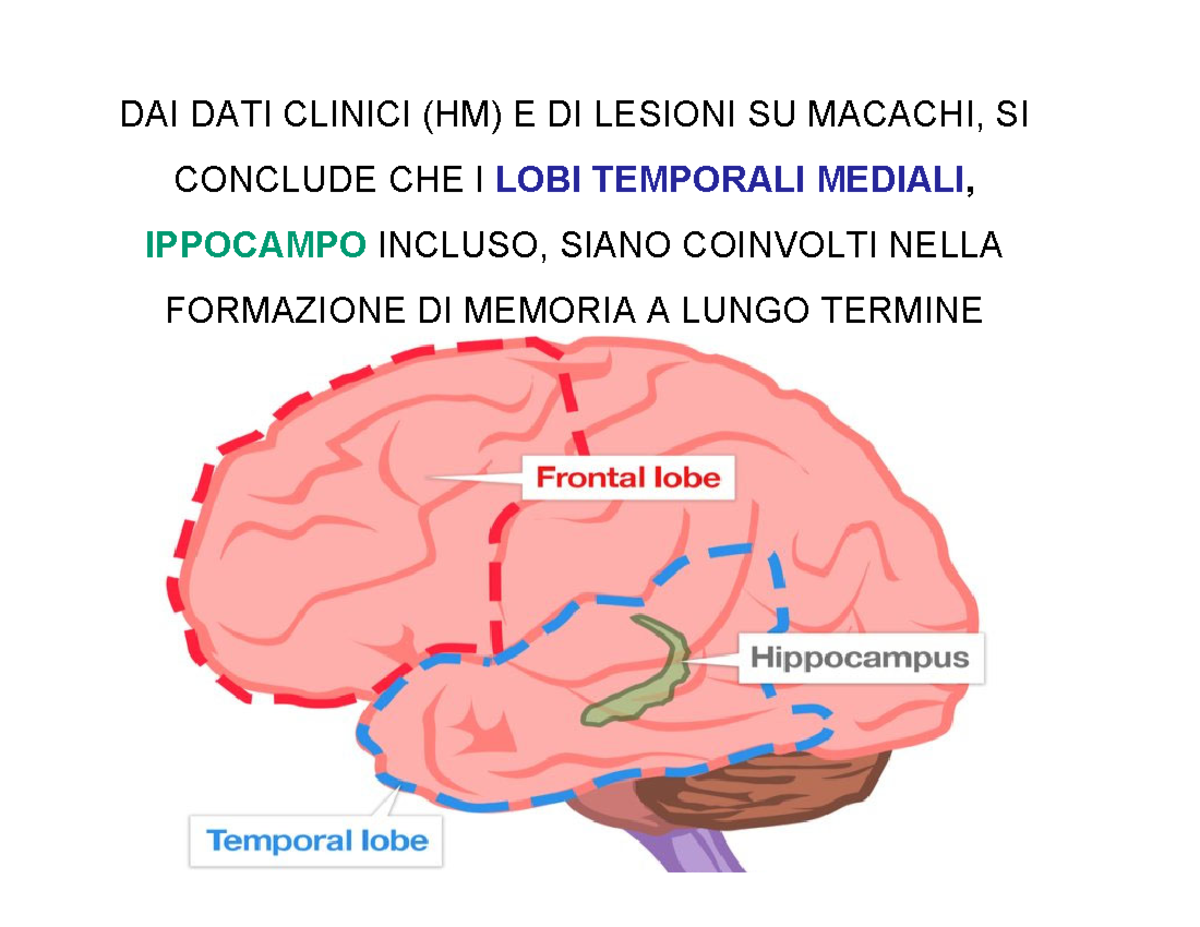 Cap 12a Apprendimento B - Scienze Psicologiche E Sociali Del Lavoro ...