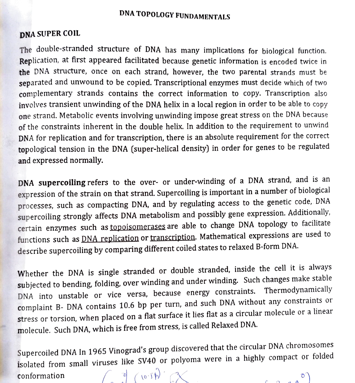 Dna topology and supercoiling - DNA TOPOLOGY FUNDAMENTALS DNA SUPER ...