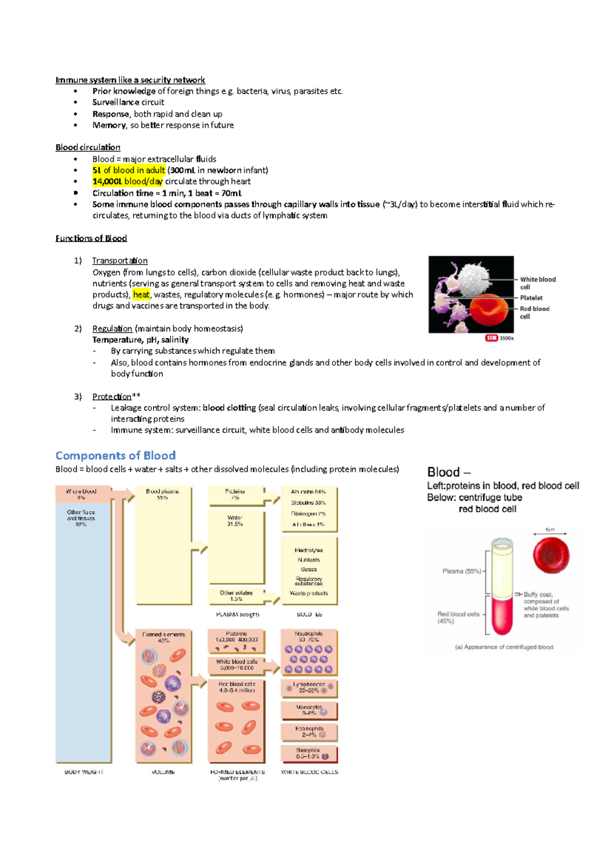 Blood and Immune Notes - Immune system like a security network Prior ...