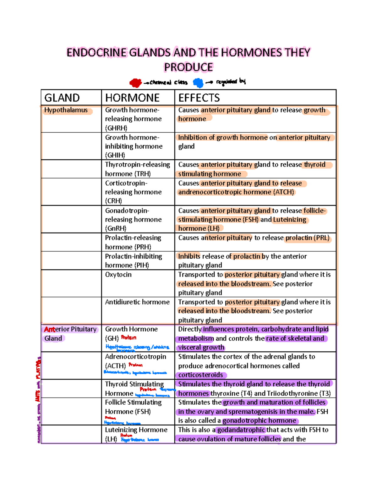 Endocrine Glands and the Hormones they Produce - ENDOCRINE GLANDS AND ...