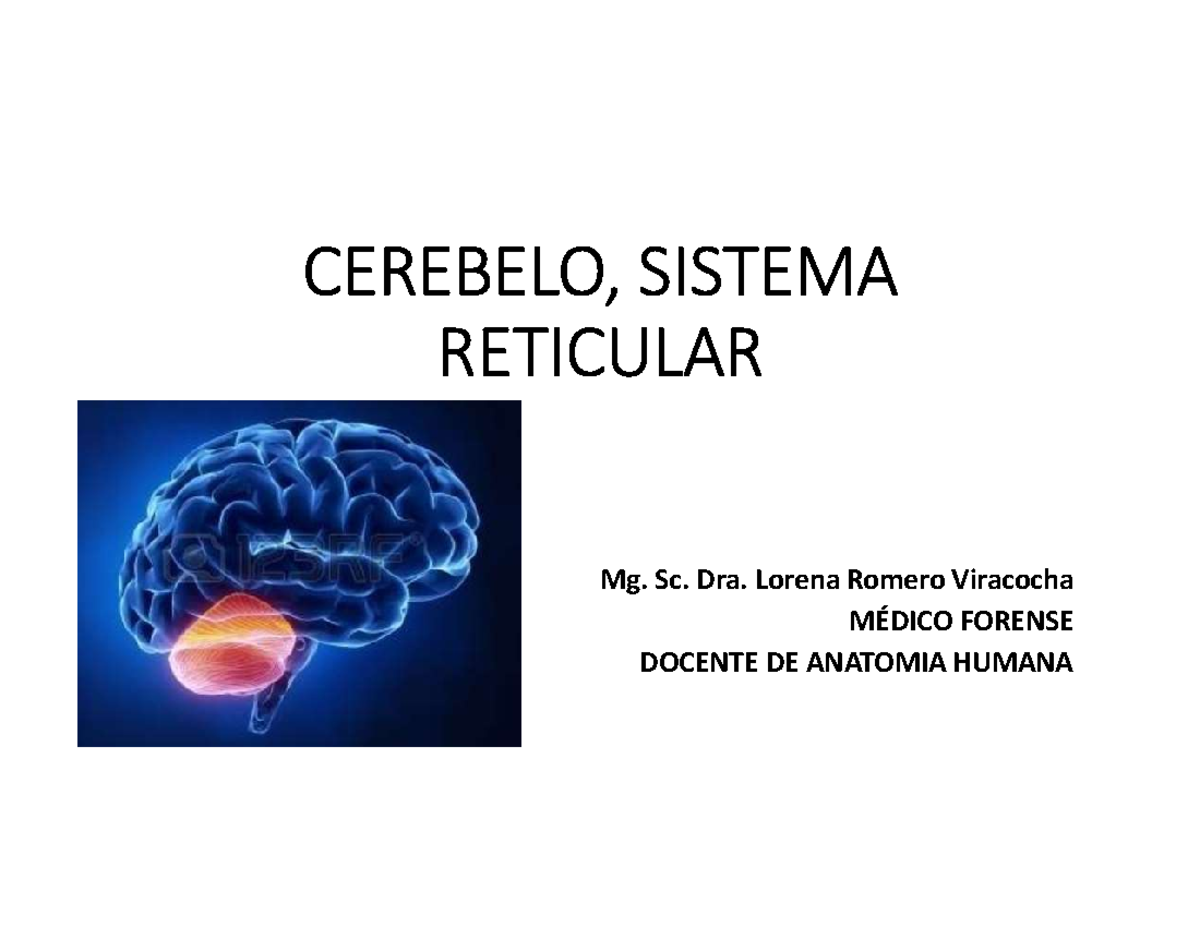 Cerebelo , Sistema Reticular Y Limbico CEREBELO, SISTEMA RETICULAR Mg. Sc. Dra. Lorena Romero