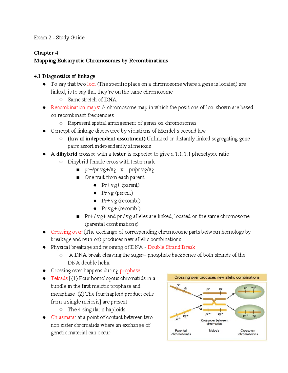 GEN 604 Exam 2 - Lecture notes Exam 2 - Exam 2 - Study Guide Chapter 4 ...