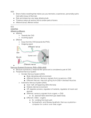 Neuro 1a - Biopsychology Prep Guide: Neuro 1 Materials: Pinel & Barnes ...