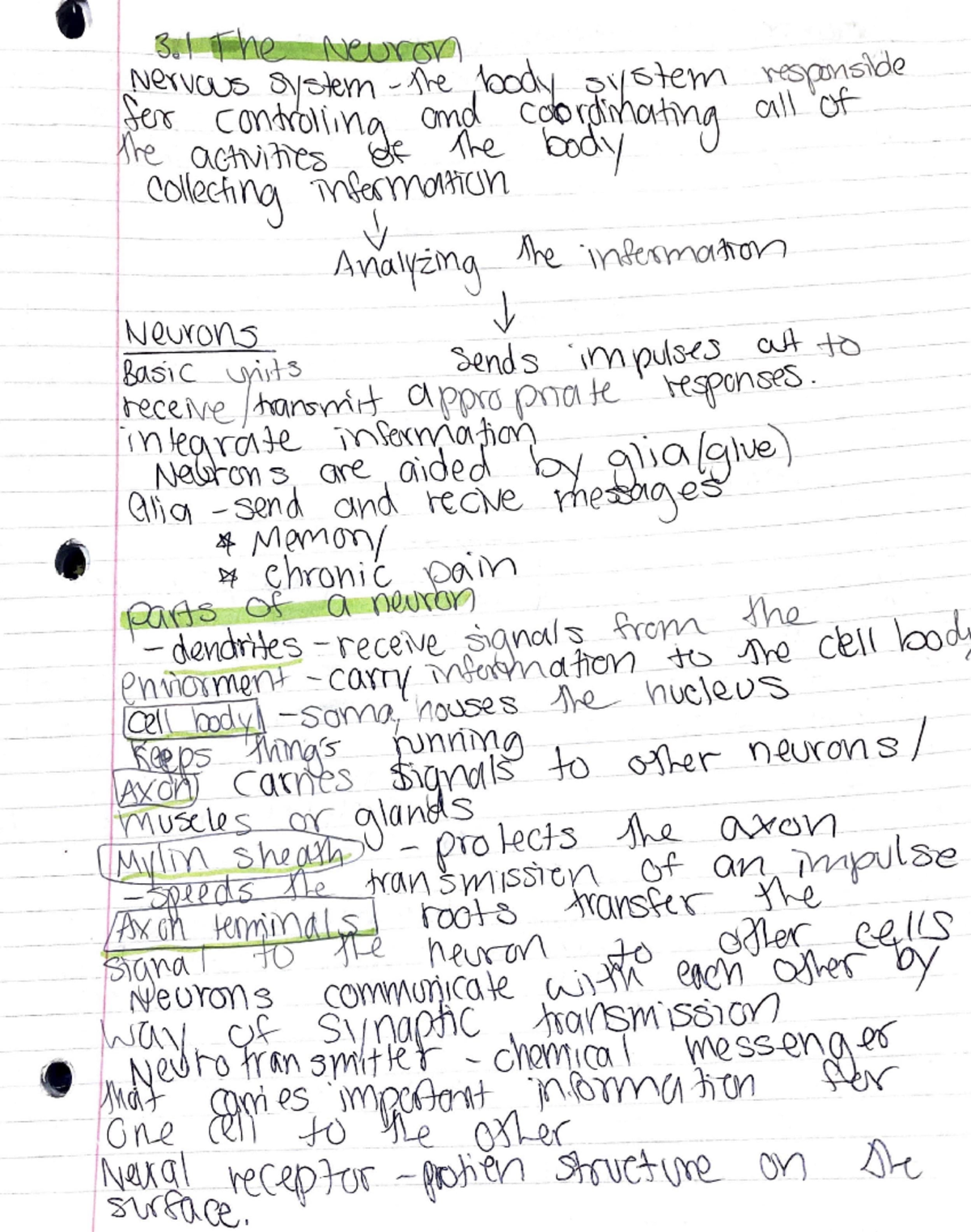 Unit 3 Psychology notes PSY 1 Studocu
